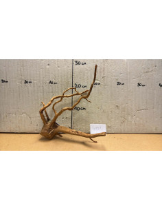 Racine Spiderwood S 21-30 CM  4101