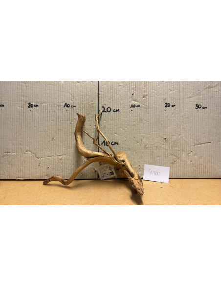 Racine Spiderwood S 21-30 CM  4100
