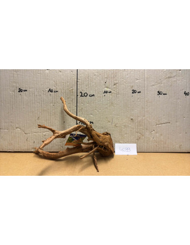 Racine Spiderwood S 21-30 CM  4099