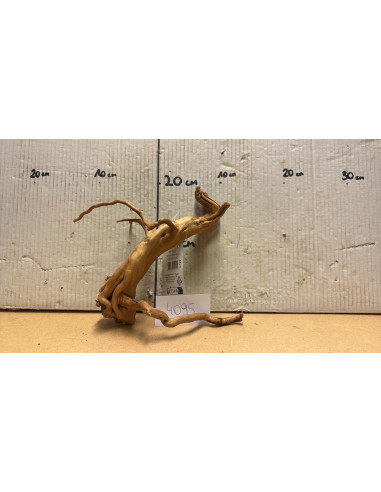 Racine Spiderwood S 21-30 CM  4095