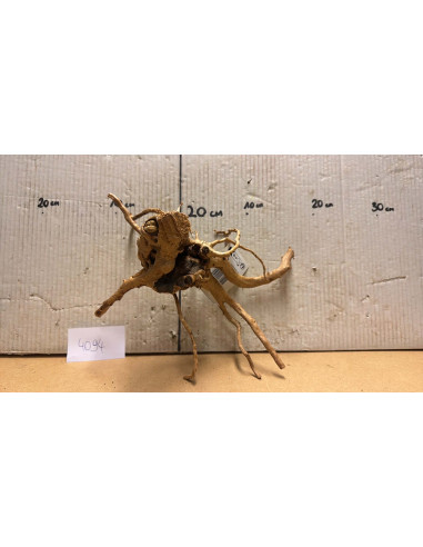 Racine Spiderwood S 21-30 CM  4094