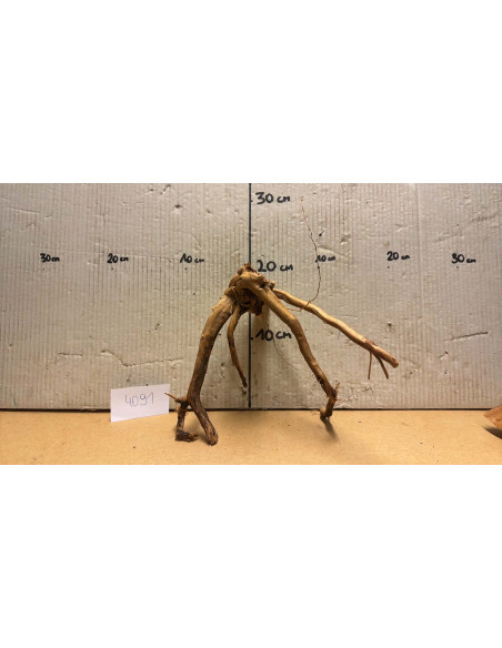 Racine Spiderwood S 21-30 CM  4091