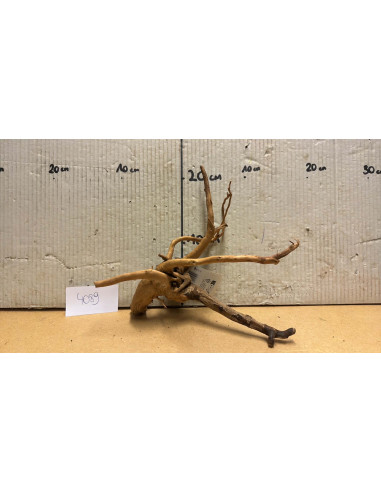 Racine Spiderwood S 21-30 CM  4089