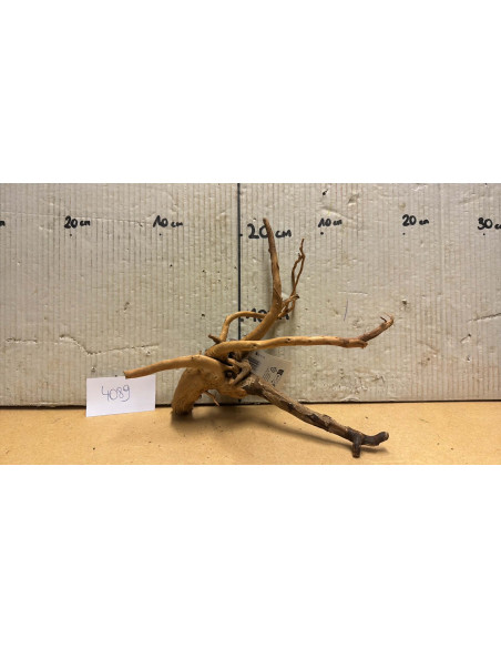 Racine Spiderwood S 21-30 CM  4089