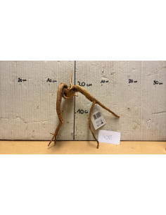 Racine Spiderwood S 21-30 CM  4088