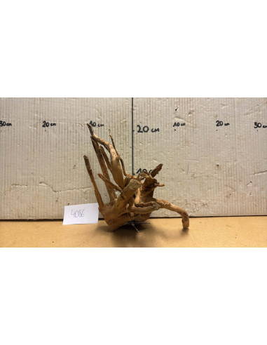 Racine Spiderwood S 21-30 CM  4086