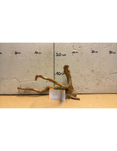 Racine Spiderwood S 21-30 CM  4084