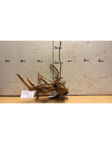 Racine Spiderwood S 21-30 CM  4080