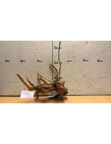 Racine Spiderwood S 21-30 CM  4080