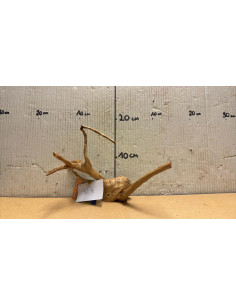 Racine Spiderwood S 21-30 CM  4076