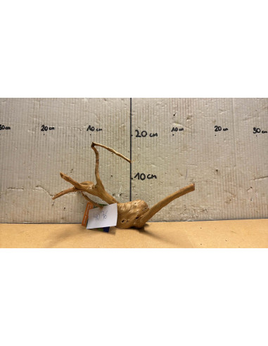 Racine Spiderwood S 21-30 CM  4076