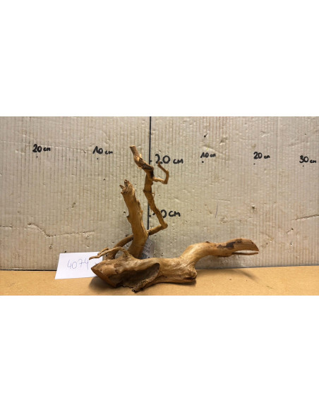 Racine Spiderwood S 21-30 CM  4074