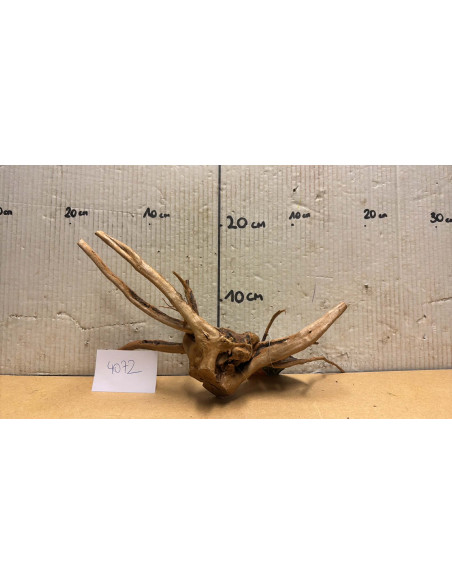 Racine Spiderwood S 21-30 CM  4072