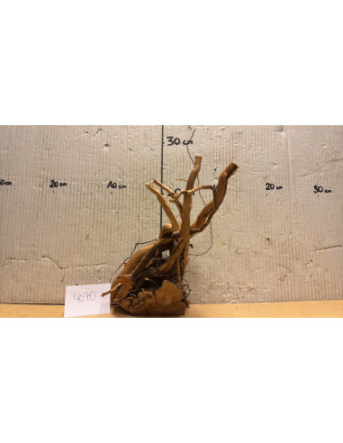 Racine Spiderwood S 21-30 CM  4070