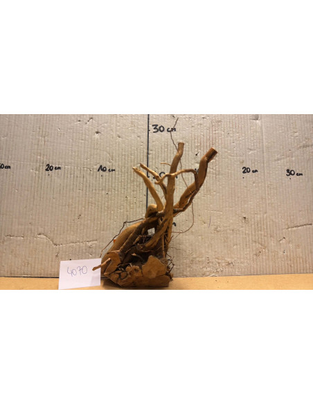 Racine Spiderwood S 21-30 CM  4070