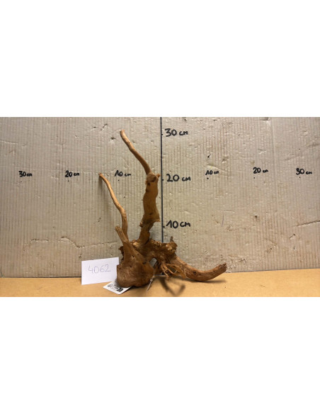 Racine Spiderwood S 21-30 CM  4062