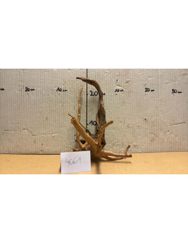 Racine Spiderwood S 21-30 CM  4061