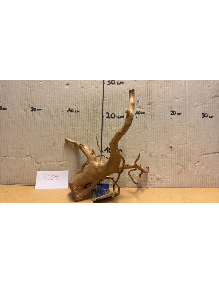 Racine Spiderwood S 21-30 CM  4059