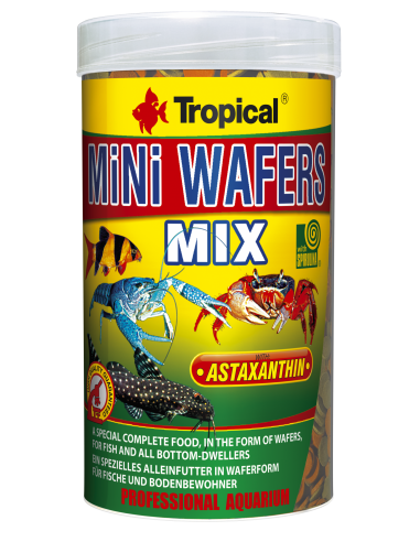 Mini Wafers Mix 100ml TROPICAL - 1