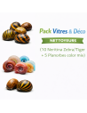 Pack Vitres & Déco (10 Neritina Zebra/Tiger + 5 Planorbes) – Nettoyeurs