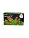Deco Set Drakensteen voor aquarium 80l 39,27 € AQUA DECO