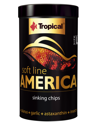Soft Line America L Chips TROPICAL - 1