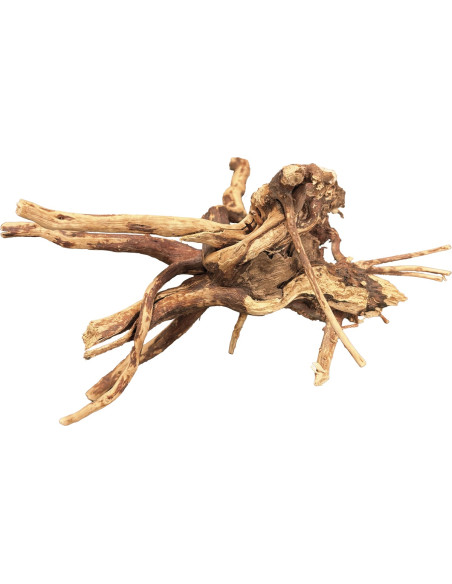 BIOART SPIDER WOOD 10-15 CM