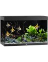 Aquarium Rio 240 LED (2x29w) Juwel 440,86 € JUWEL