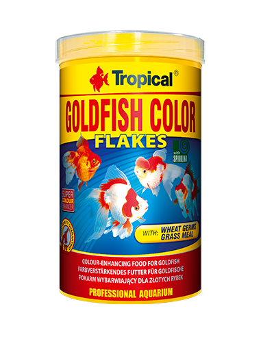 Goldfish Color TROPICAL - 1