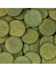 sera Pleco Tabs XL 1.000ml (550g) 2