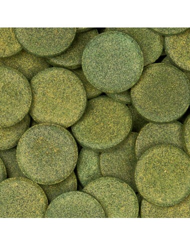 sera Pleco Tabs XL 1.000ml (550g)