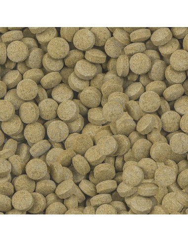 sera Viformo Pleco Tabs 50ml (33g)