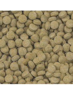 sera Viformo Pleco Tabs 250ml (160g) 2