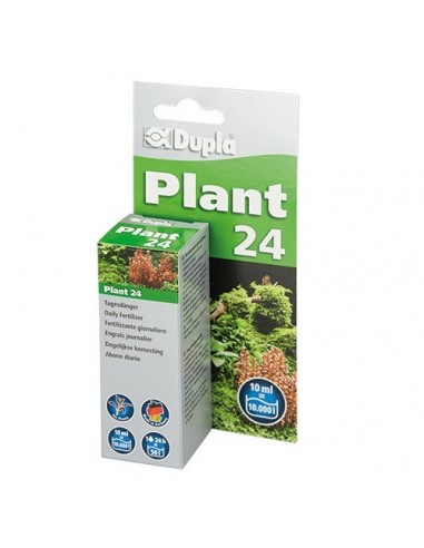 Plant 24 Dupla DUPLA - 4