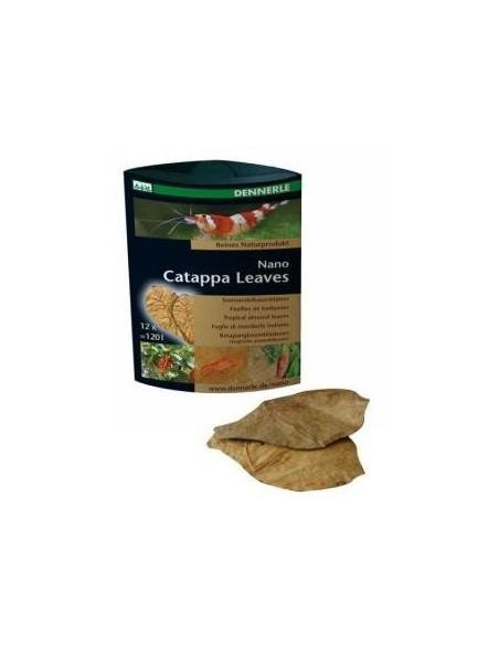Nano Badamier (CATAPPA Leaves) 12p Dennerle Dennerle - 1