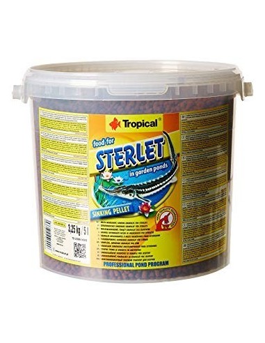 Sterlet 5l Tropical TROPICAL - 1