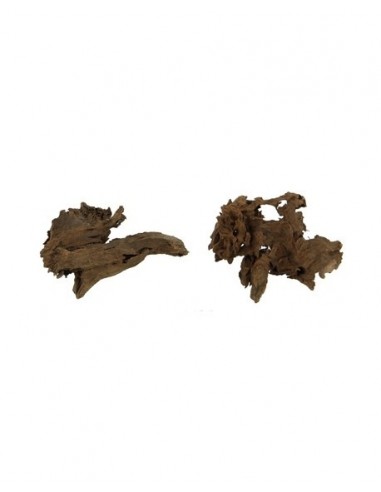 Mangrove Wortel XS 12-15cm Hobby HOBBY - 2
