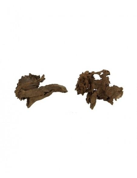 Racine Mangrove XS 12-15cm Hobby HOBBY - 2