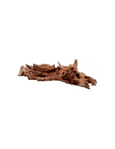 Mangrove Wortel M 25-35cm Hobby HOBBY - 2