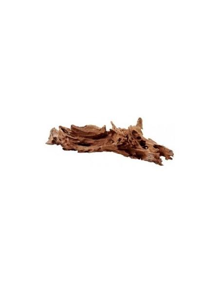 Mangrove Wortel M 25-35cm Hobby HOBBY - 2