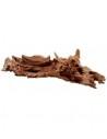 Racine Mangrove M 25-35cm Hobby HOBBY - 2