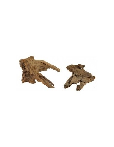 Racine Mangrove L 40-55cm Hobby HOBBY - 2