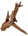 Mangrove Wortel XL 60-70cm Hobby HOBBY - 2