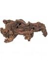 Racine Savane L  35-50cm Hobby HOBBY - 2