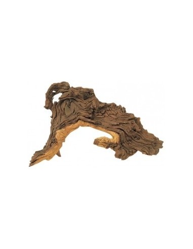 Mopaniwortel XS 10-15cm Hobby HOBBY - 2