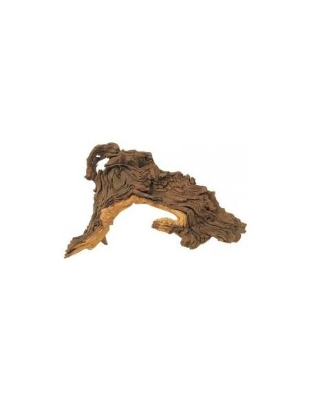 Mopaniwortel XS 10-15cm Hobby HOBBY - 2