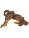 Mopaniwortel XS 10-15cm Hobby HOBBY - 2