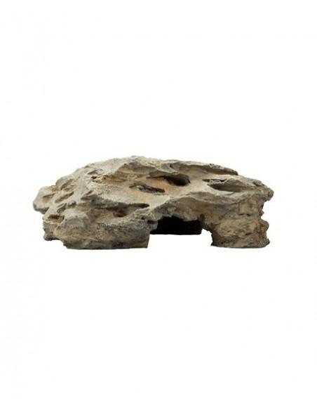 Kammengrot 2 22,5 x 12,5 x 7,5 cm Hobby HOBBY - 1