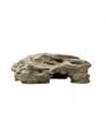 Kammengrot 2 22,5 x 12,5 x 7,5 cm Hobby HOBBY - 1