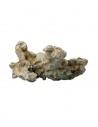 Comb Cave 3  21 x 11 x 19 cm Hobby HOBBY - 1